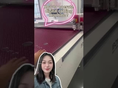 Sigle Head Line Drawing Machine 3kw Leather Printer Machine 3000 - 5000pcs/H